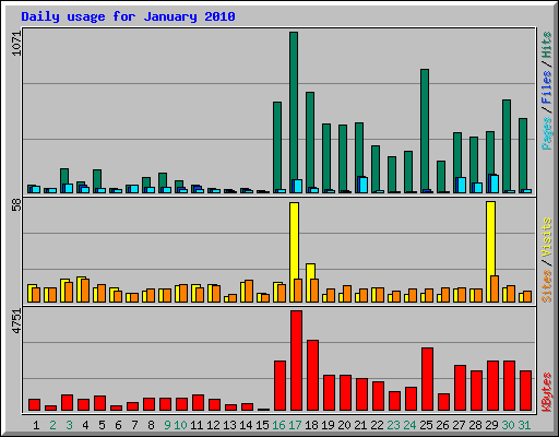 Daily usage for January 2010
