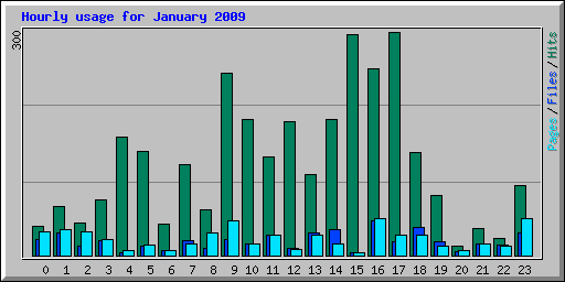 Hourly usage for January 2009