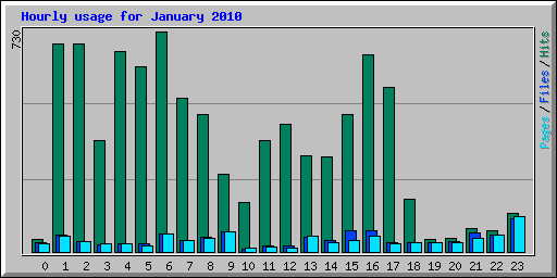 Hourly usage for January 2010